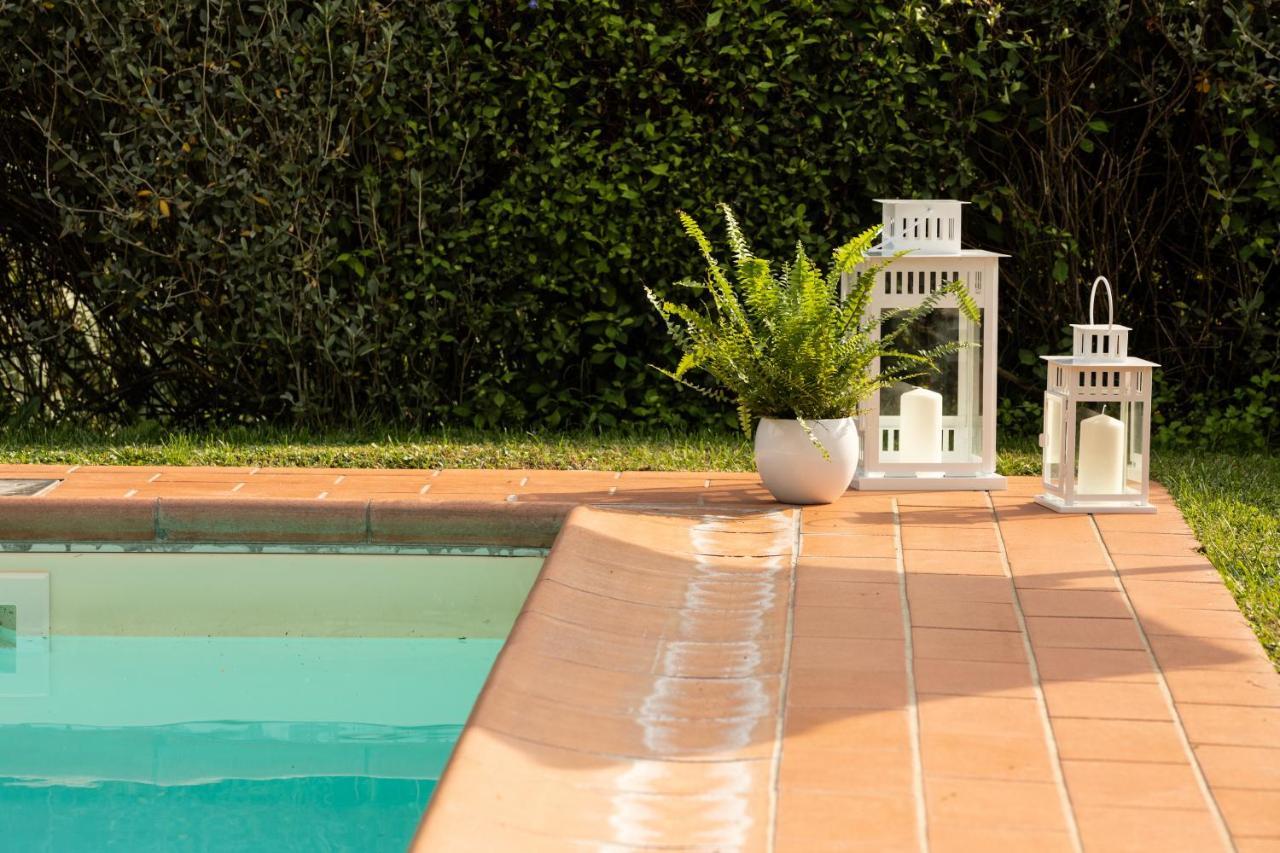 Casetta Di Butia, Glicine Apartment Borgo a Mozzano Eksteriør billede