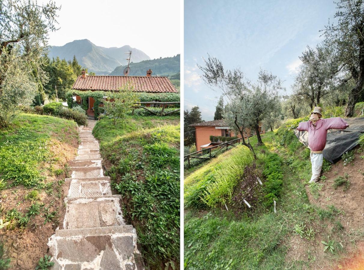Casetta Di Butia, Glicine Apartment Borgo a Mozzano Eksteriør billede