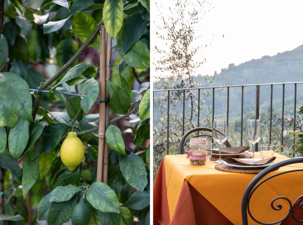 Casetta Di Butia, Glicine Apartment Borgo a Mozzano Eksteriør billede