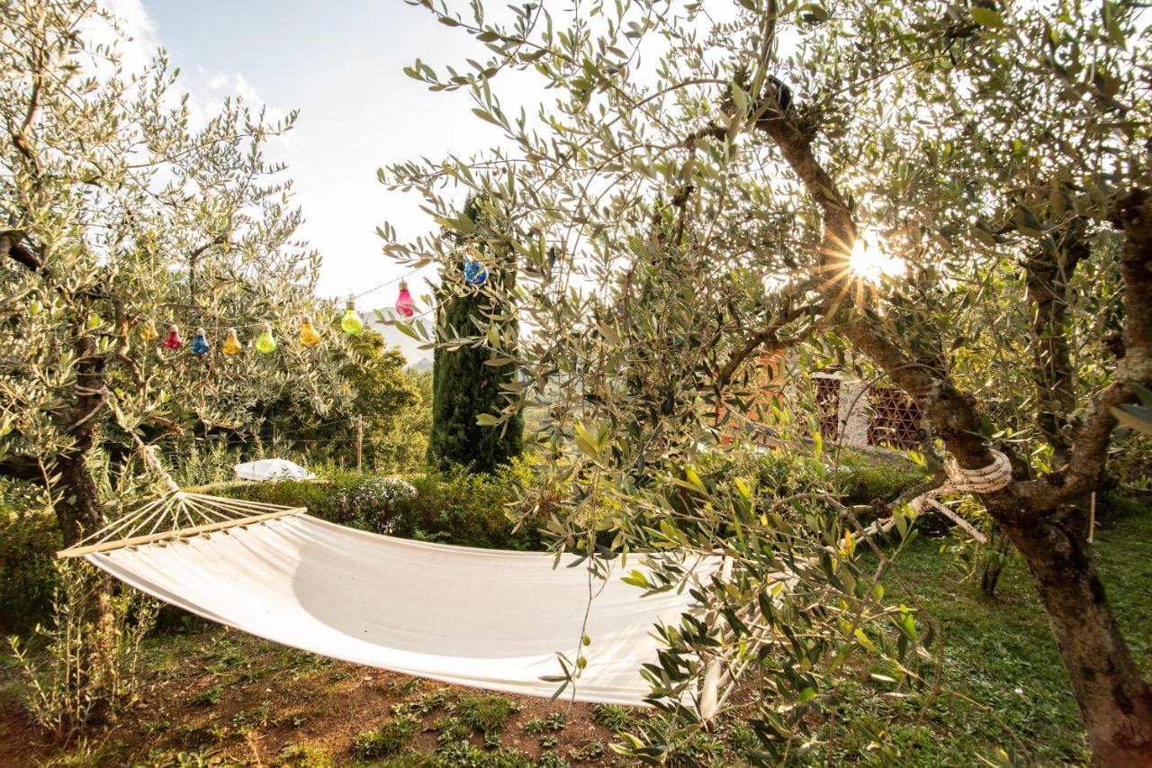 Casetta Di Butia, Glicine Apartment Borgo a Mozzano Eksteriør billede