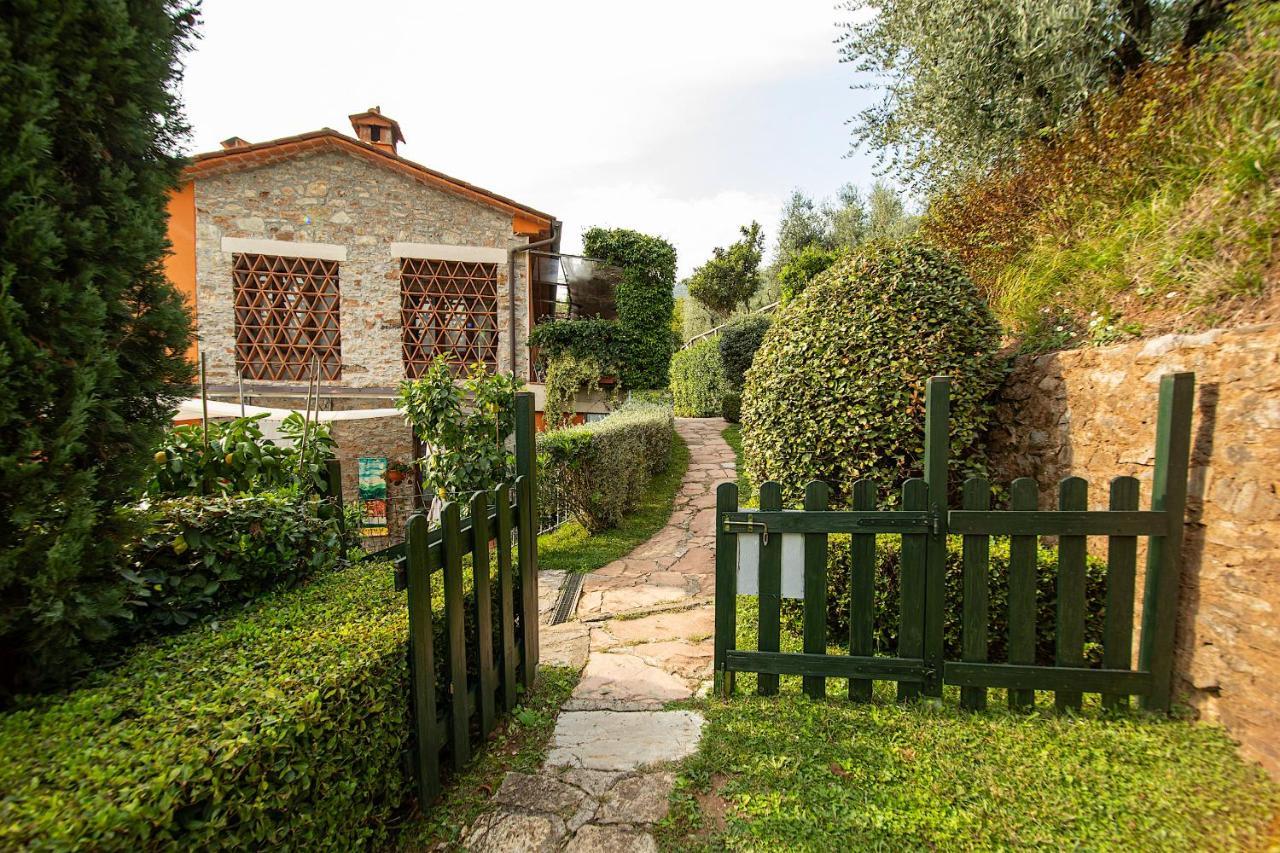 Casetta Di Butia, Glicine Apartment Borgo a Mozzano Eksteriør billede
