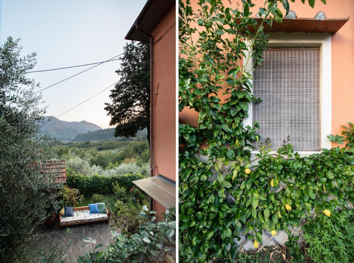 Casetta Di Butia, Glicine Apartment Borgo a Mozzano Eksteriør billede